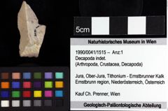 Foto (Objket + Etiketten) von Decapoda indet. 